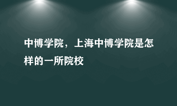 中博学院，上海中博学院是怎样的一所院校