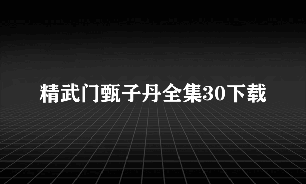 精武门甄子丹全集30下载