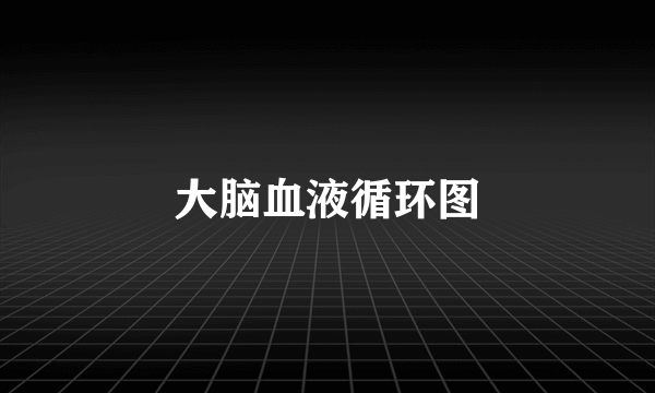 大脑血液循环图
