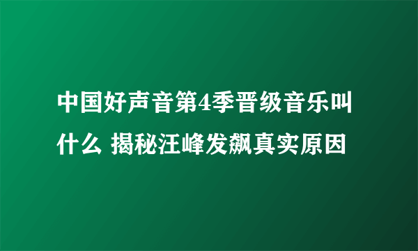 中国好声音第4季晋级音乐叫什么 揭秘汪峰发飙真实原因