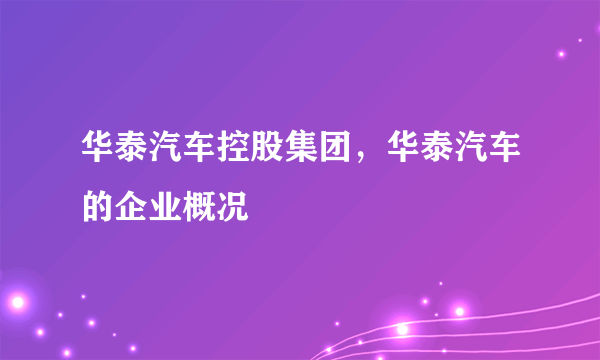 华泰汽车控股集团，华泰汽车的企业概况
