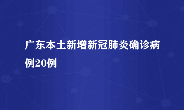 广东本土新增新冠肺炎确诊病例20例