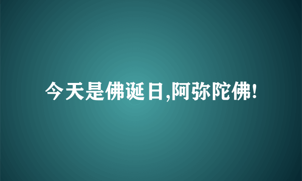 今天是佛诞日,阿弥陀佛!