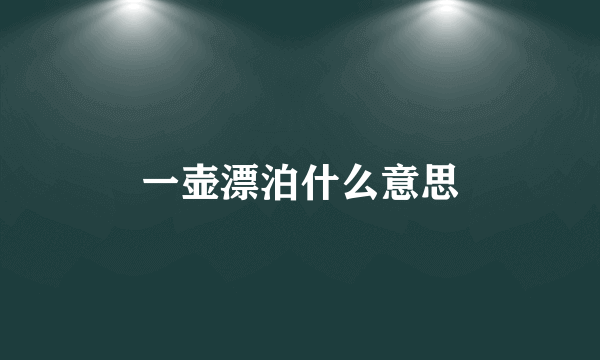 一壶漂泊什么意思