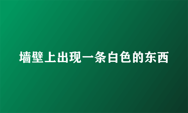 墙壁上出现一条白色的东西