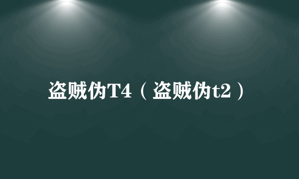 盗贼伪T4（盗贼伪t2）