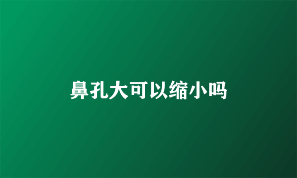 鼻孔大可以缩小吗