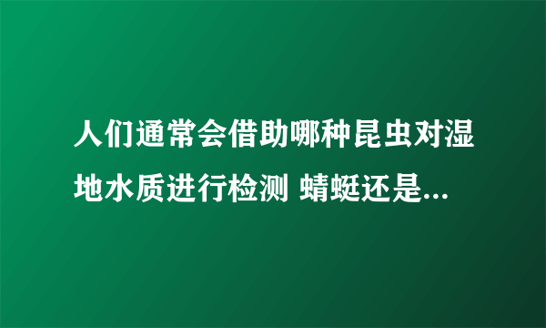 人们通常会借助哪种昆虫对湿地水质进行检测 蜻蜓还是异色瓢虫