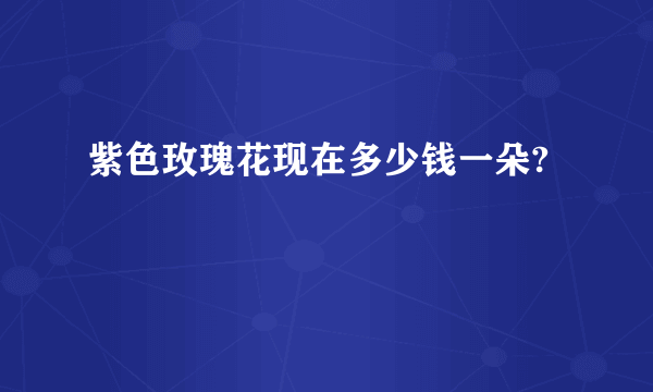 紫色玫瑰花现在多少钱一朵?