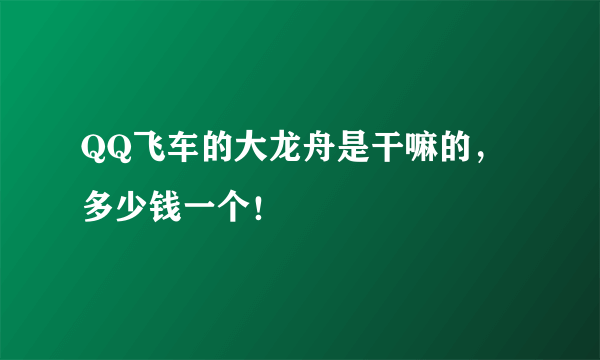 QQ飞车的大龙舟是干嘛的，多少钱一个！