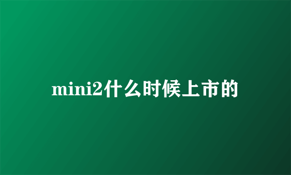 mini2什么时候上市的