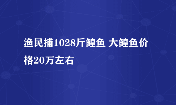 渔民捕1028斤鳇鱼 大鳇鱼价格20万左右