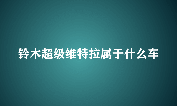 铃木超级维特拉属于什么车