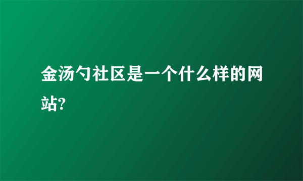 金汤勺社区是一个什么样的网站?