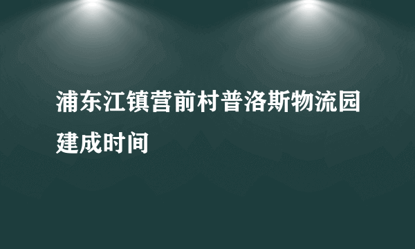 浦东江镇营前村普洛斯物流园建成时间