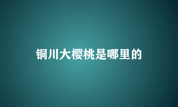 铜川大樱桃是哪里的