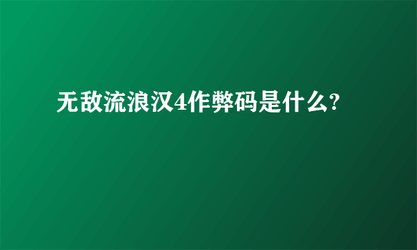 无敌流浪汉4作弊码是什么?