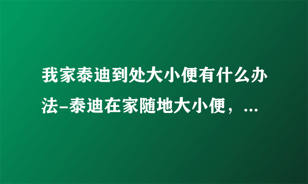 我家泰迪到处大小便有什么办法-泰迪在家随地大小便，怎么办？