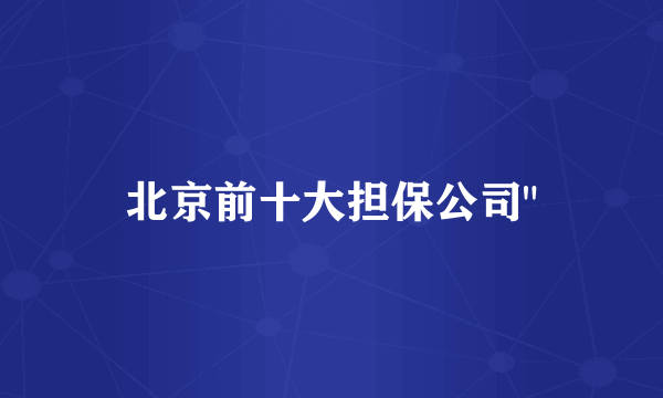 北京前十大担保公司
