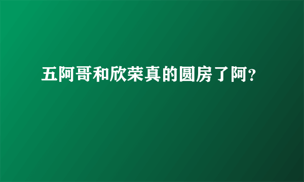 五阿哥和欣荣真的圆房了阿？