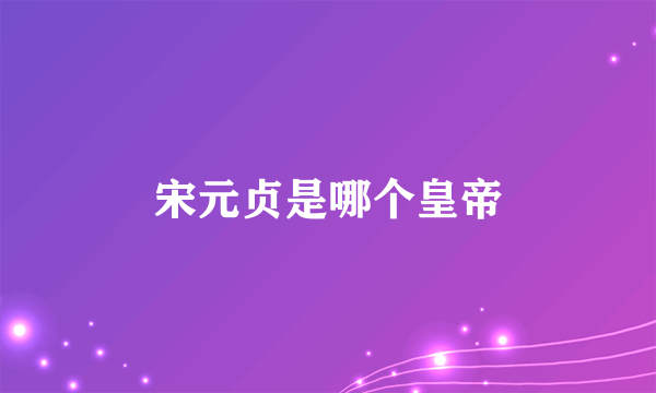 宋元贞是哪个皇帝
