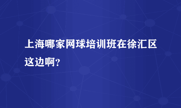 上海哪家网球培训班在徐汇区这边啊？