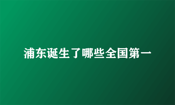 浦东诞生了哪些全国第一