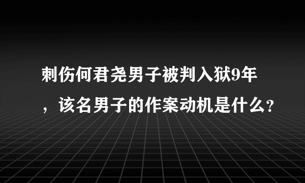 刺伤何君尧男子被判入狱9年，该名男子的作案动机是什么？