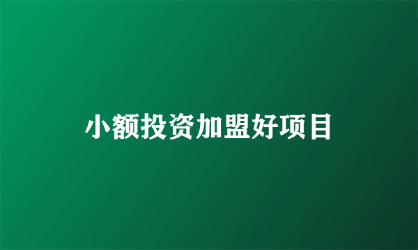小额投资加盟好项目