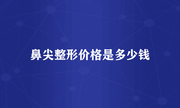 鼻尖整形价格是多少钱