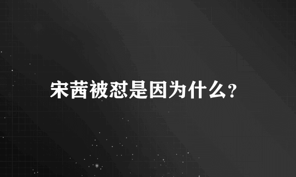 宋茜被怼是因为什么？