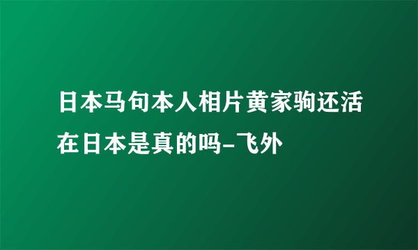 日本马句本人相片黄家驹还活在日本是真的吗-飞外