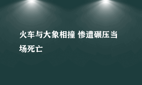 火车与大象相撞 惨遭碾压当场死亡