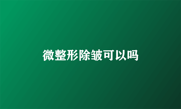 微整形除皱可以吗