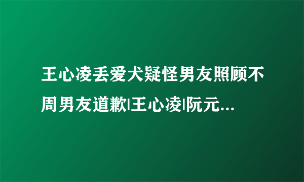 王心凌丢爱犬疑怪男友照顾不周男友道歉|王心凌|阮元浩|爱犬_飞外娱乐_飞外网