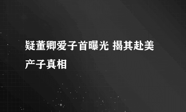 疑董卿爱子首曝光 揭其赴美产子真相