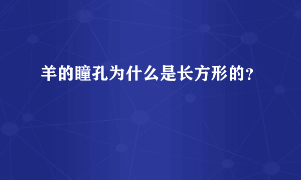 羊的瞳孔为什么是长方形的？
