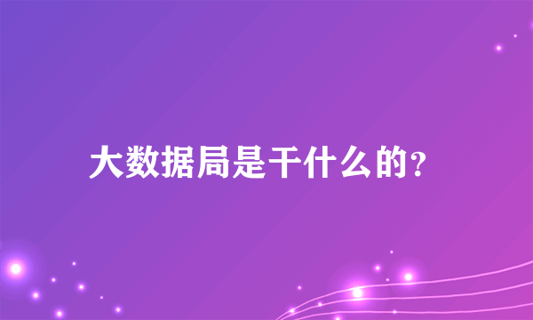 大数据局是干什么的？