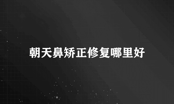 朝天鼻矫正修复哪里好
