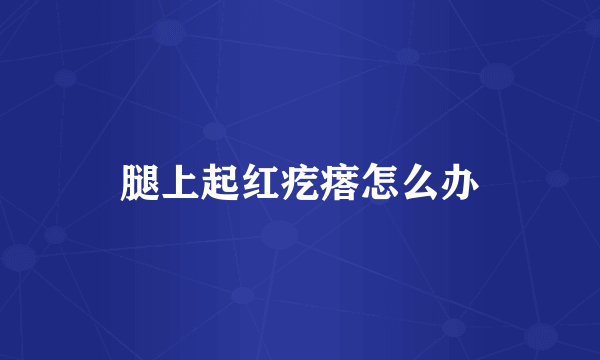 腿上起红疙瘩怎么办