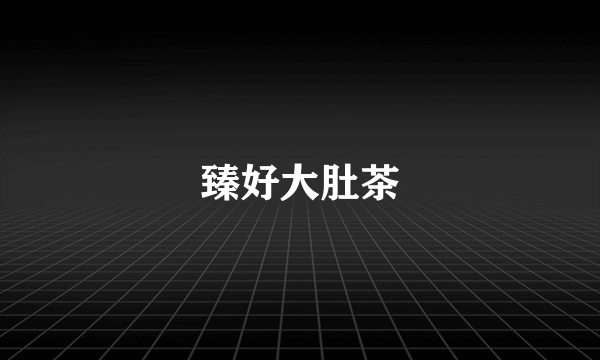 臻好大肚茶