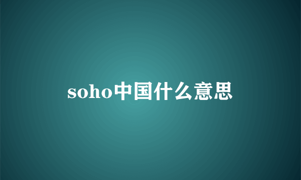 soho中国什么意思