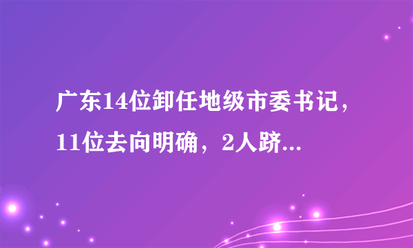 广东14位卸任地级市委书记，11位去向明确，2人跻身省部级