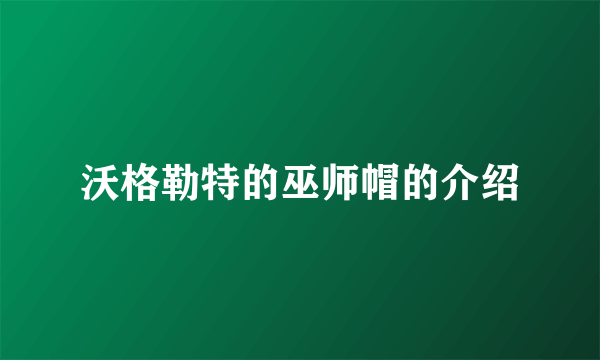 沃格勒特的巫师帽的介绍