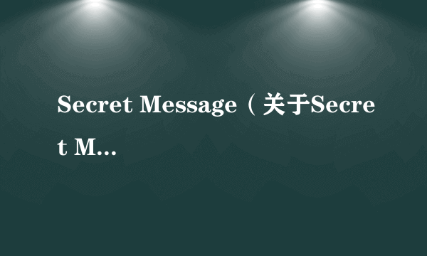Secret Message（关于Secret Message的介绍）