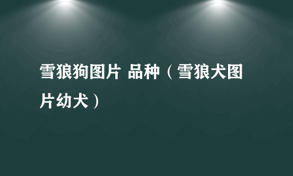 雪狼狗图片 品种（雪狼犬图片幼犬）