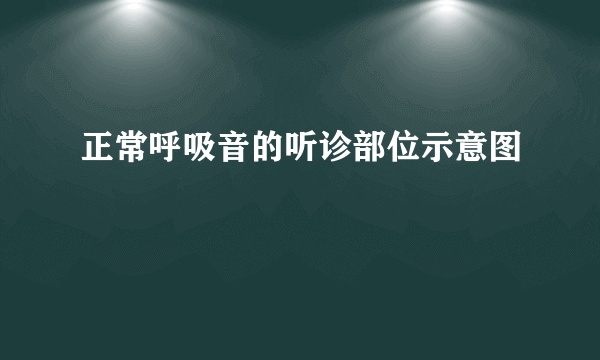 正常呼吸音的听诊部位示意图
