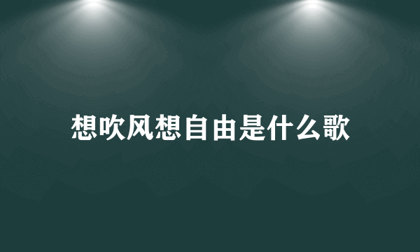 想吹风想自由是什么歌
