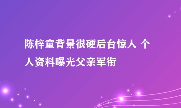 陈梓童背景很硬后台惊人 个人资料曝光父亲军衔