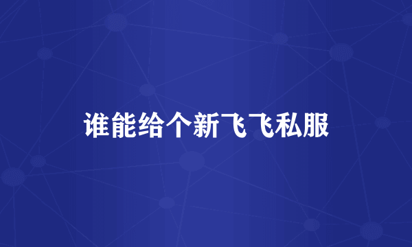 谁能给个新飞飞私服
